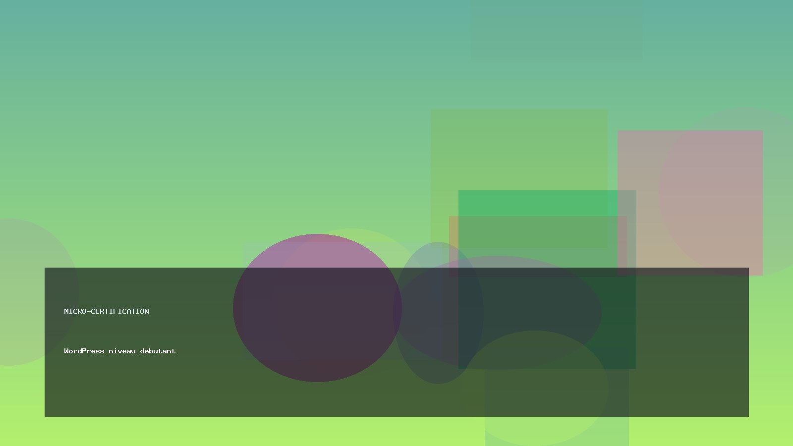 WordPress niveau debutant