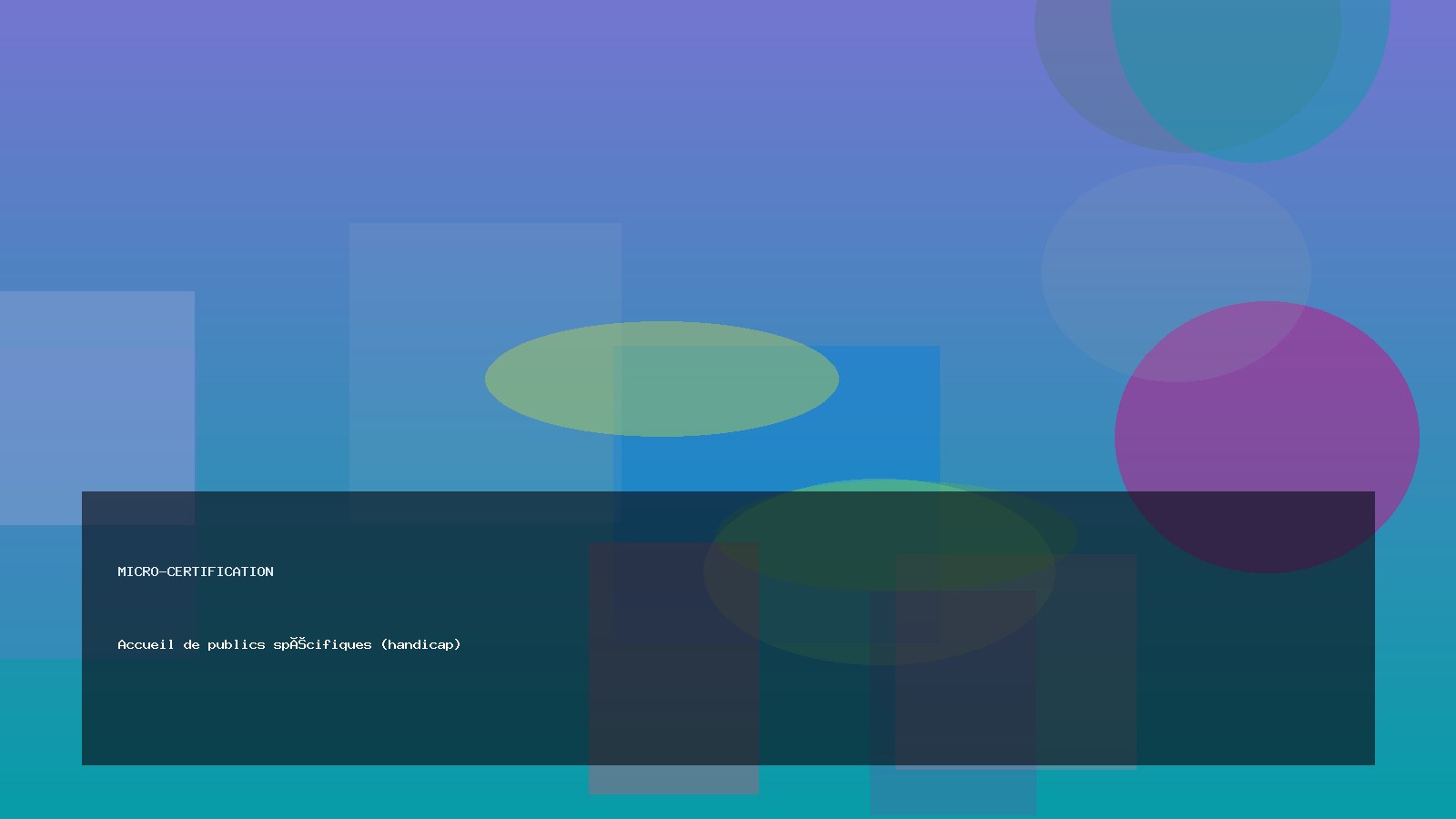 Accueil de publics spécifiques (handicap)