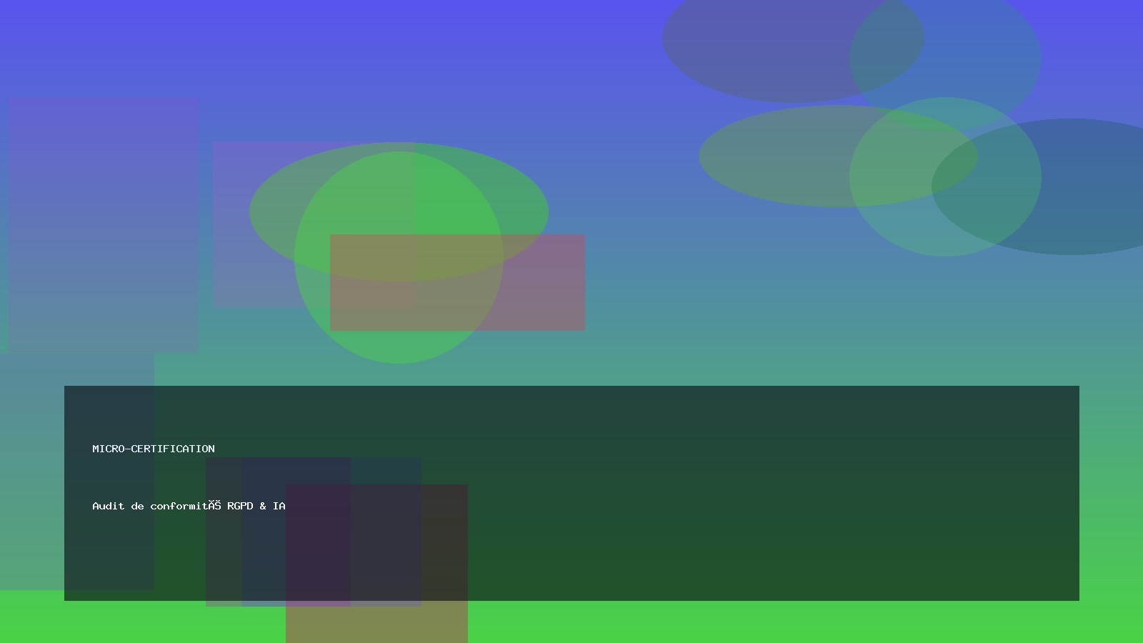 Audit de conformité RGPD & IA