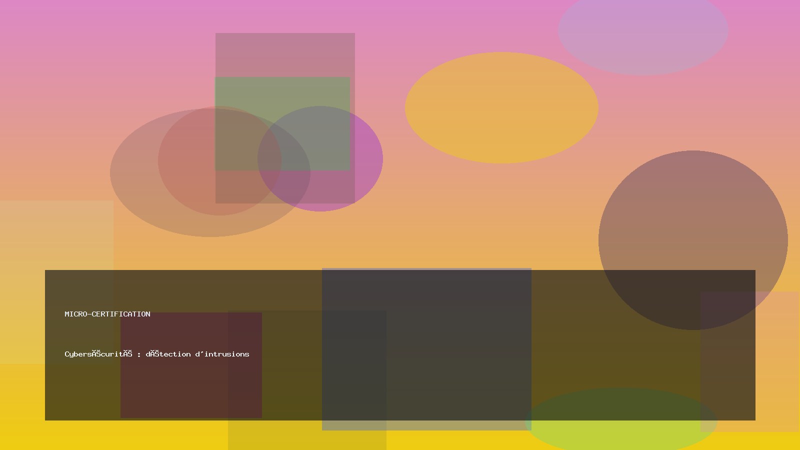 Cybersécurité : détection d'intrusions