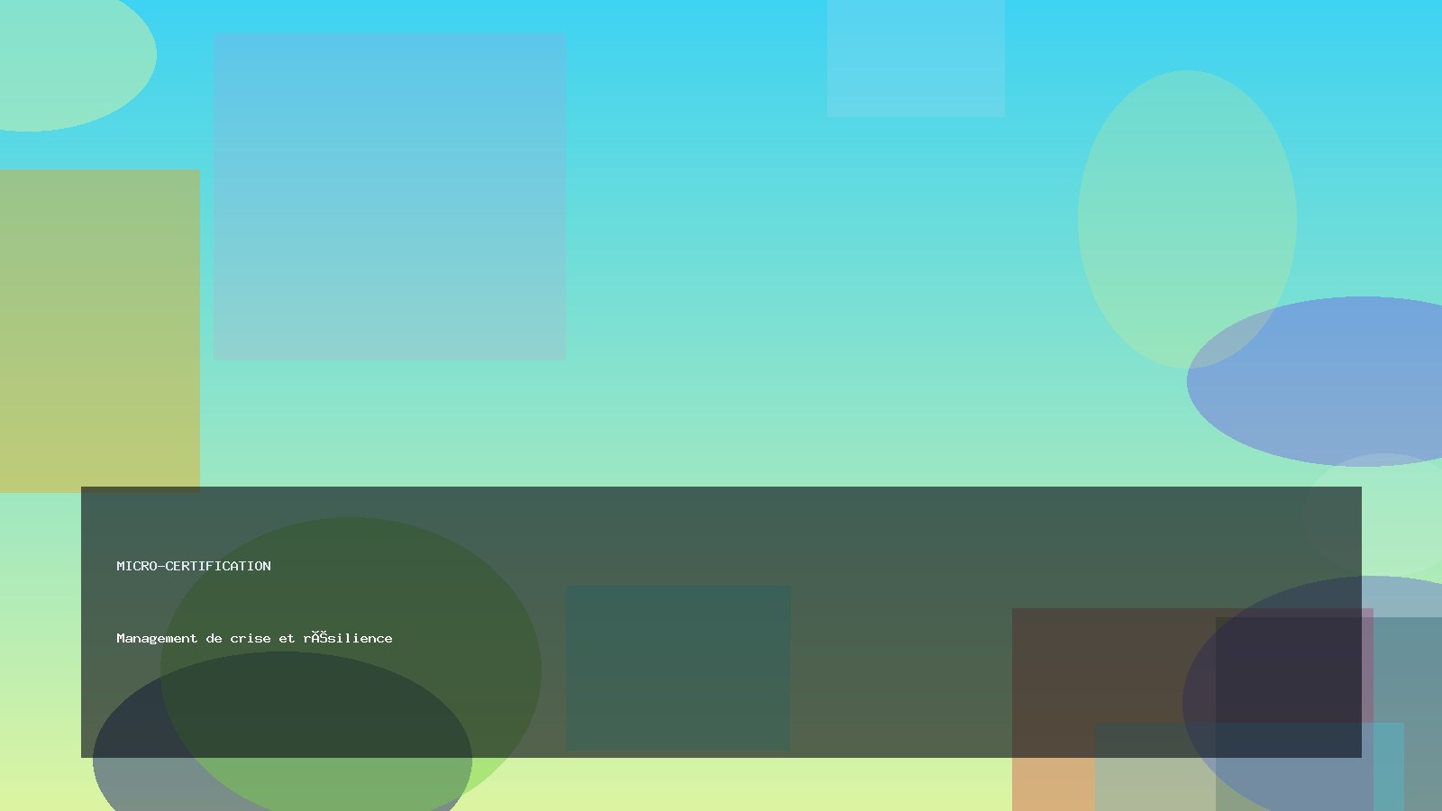 Management de crise et résilience