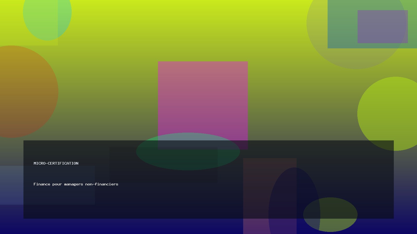 Finance pour managers non-financiers