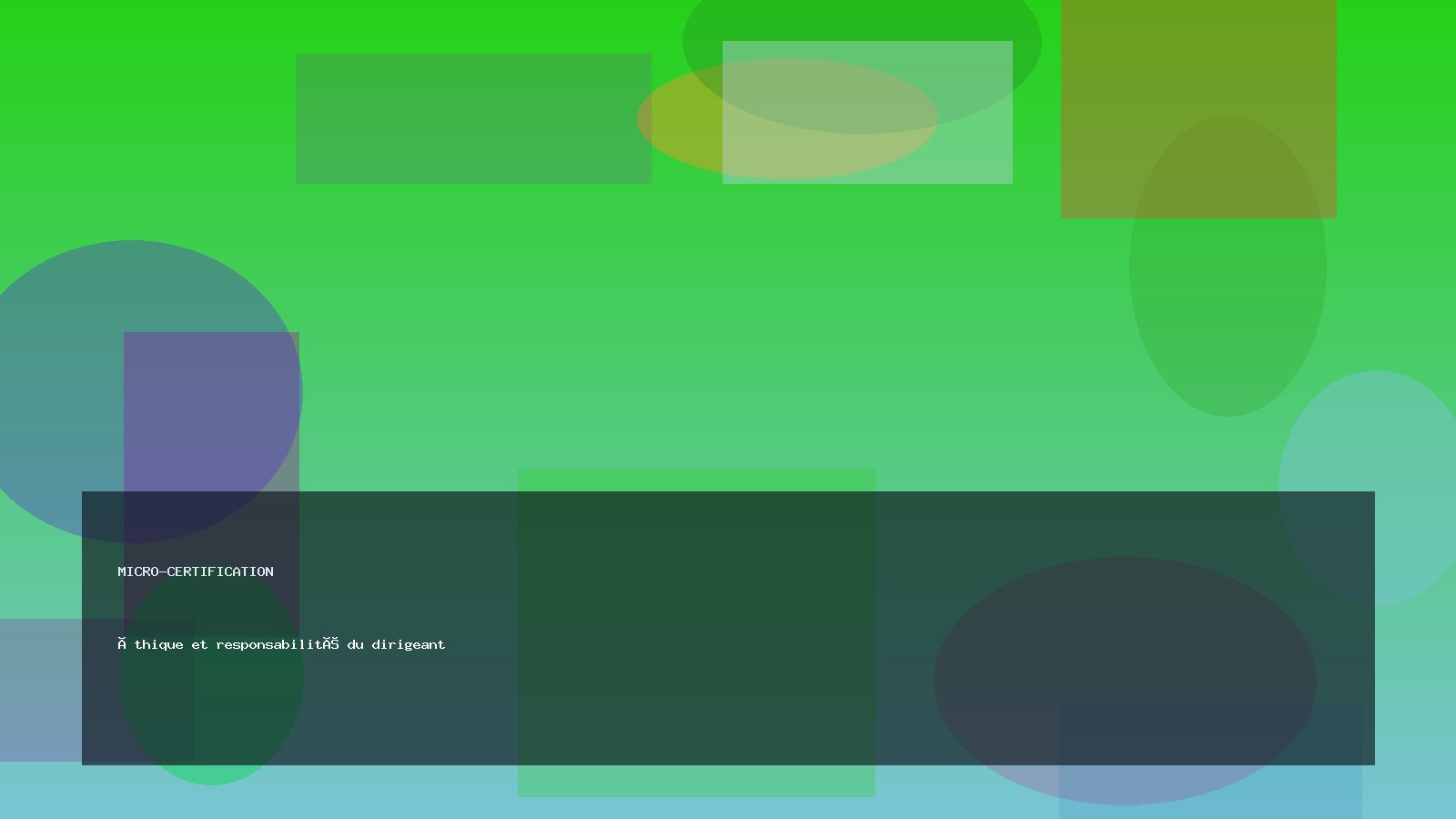 Éthique et responsabilité du dirigeant