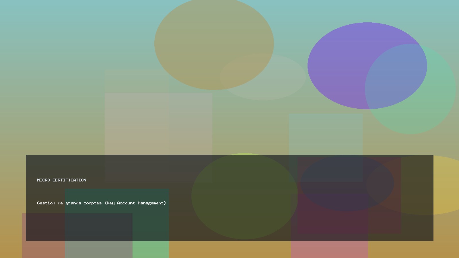 Gestion de grands comptes (Key Account Management)