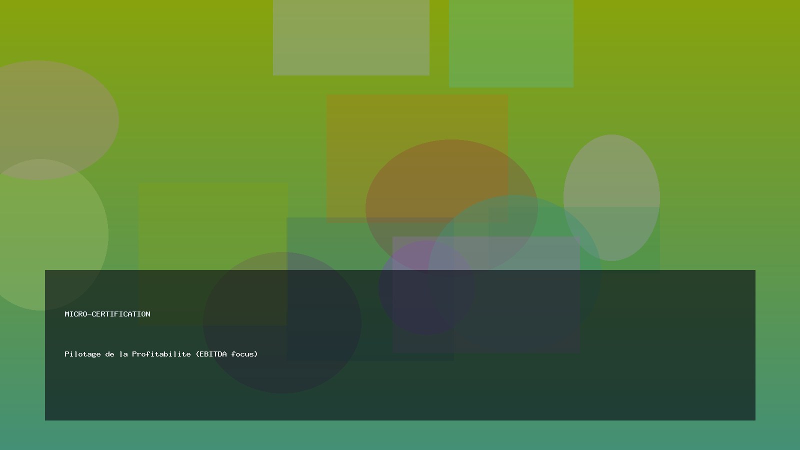 Pilotage de la Profitabilite (EBITDA focus)
