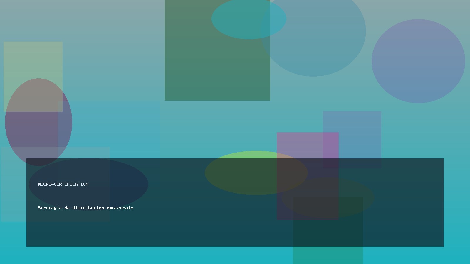 Strategie de distribution omnicanale