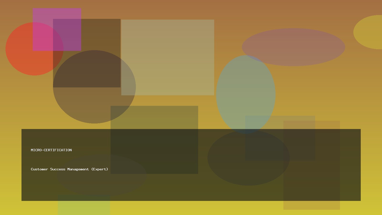 Customer Success Management (Expert)