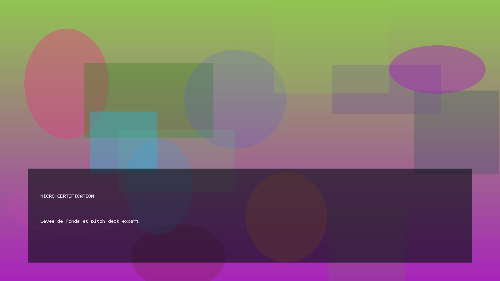 Levee de fonds et pitch deck expert