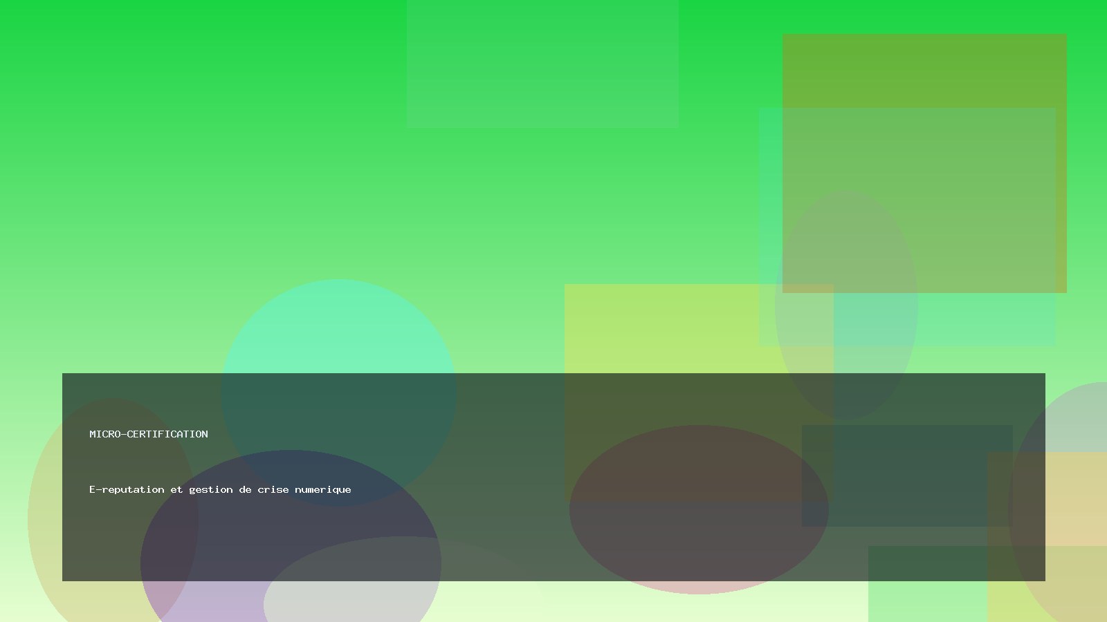 E-reputation et gestion de crise numerique