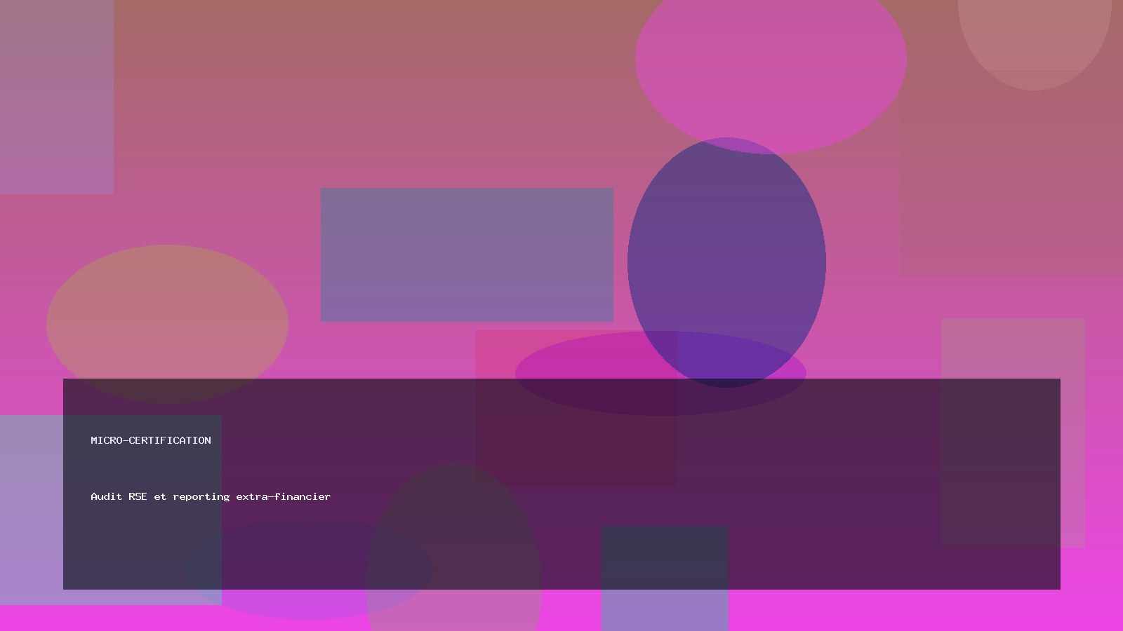 Audit RSE et reporting extra-financier