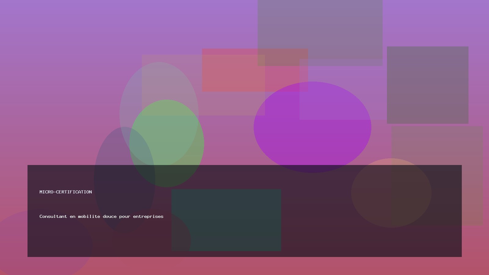 Consultant en mobilite douce pour entreprises