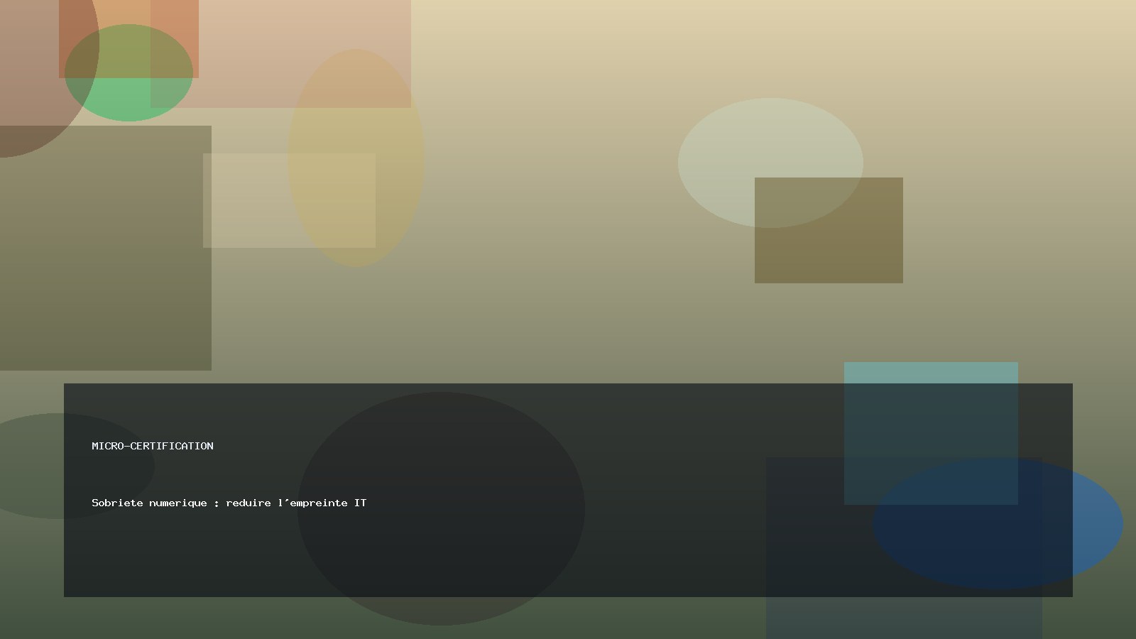 Sobriete numerique : reduire l'empreinte IT