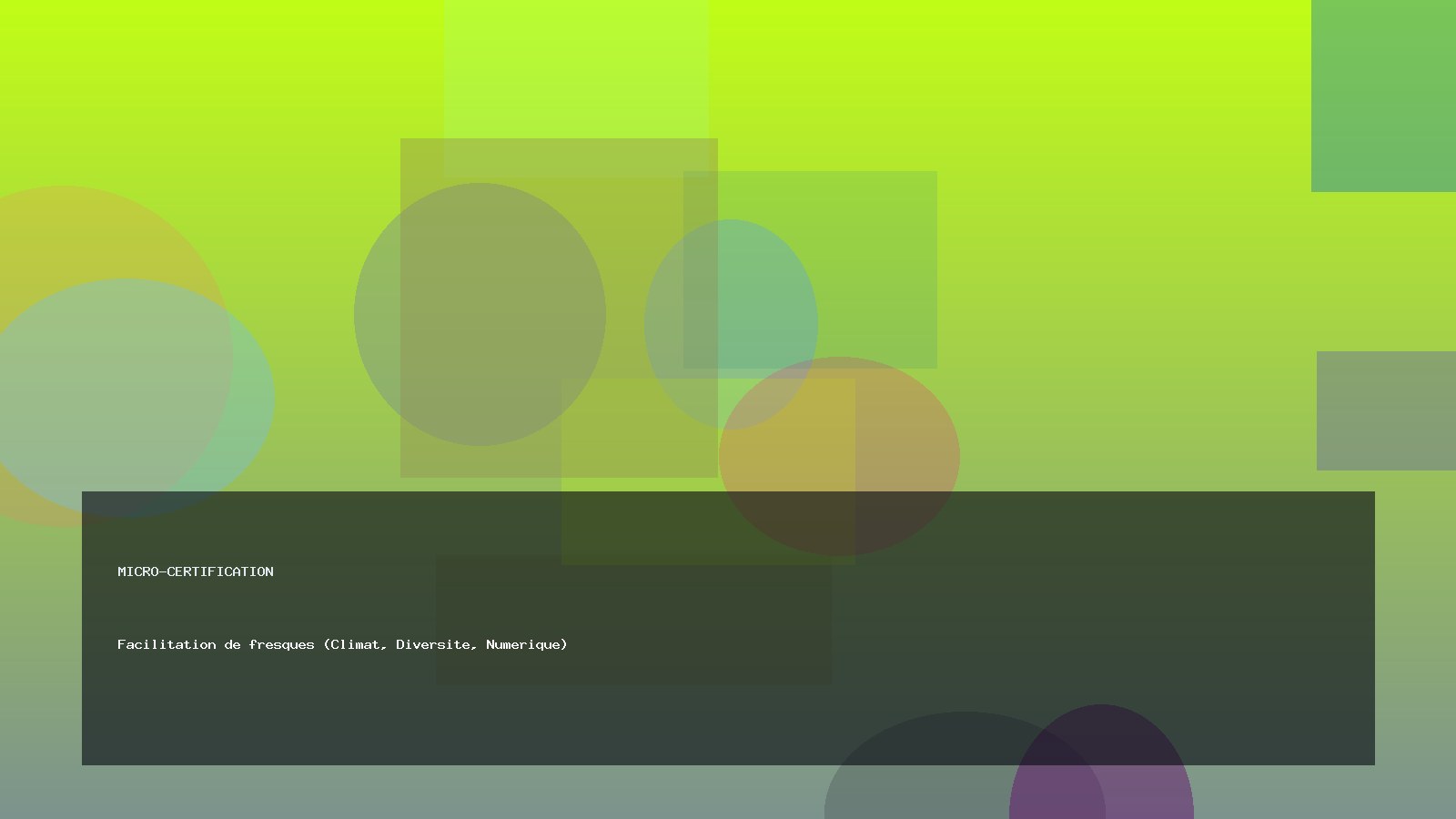 Facilitation de fresques (Climat, Diversite, Numerique)
