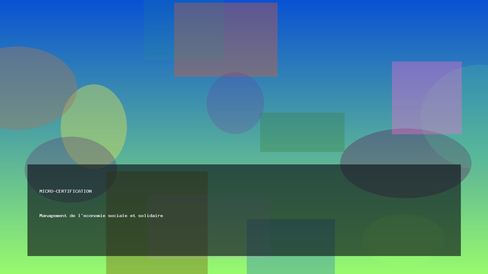 Management de l'economie sociale et solidaire