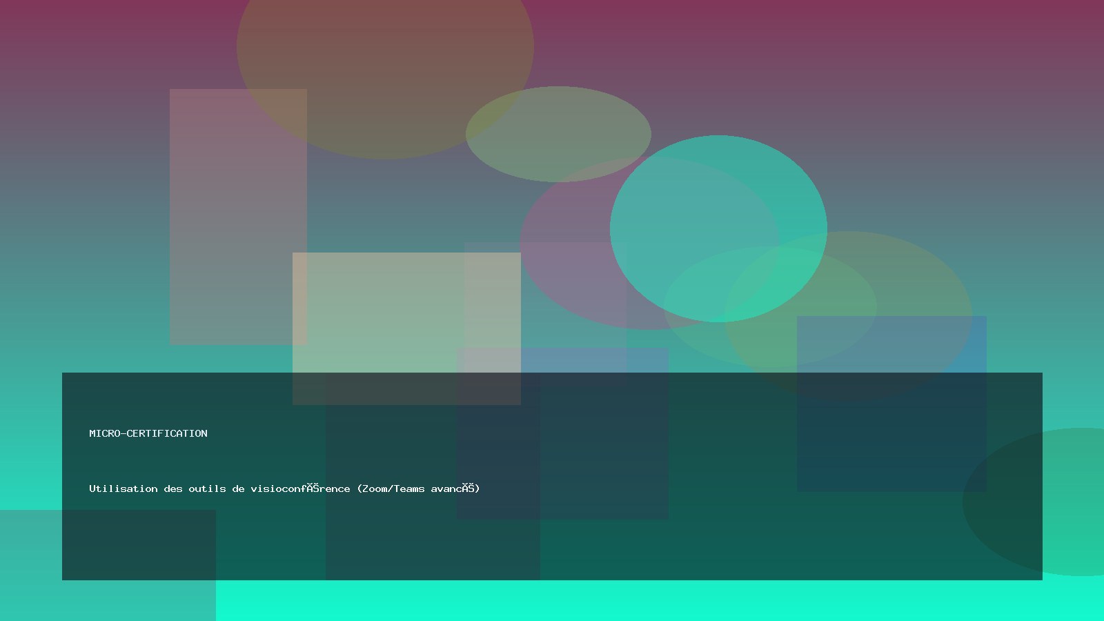 Utilisation des outils de visioconférence (Zoom/Teams avancé)