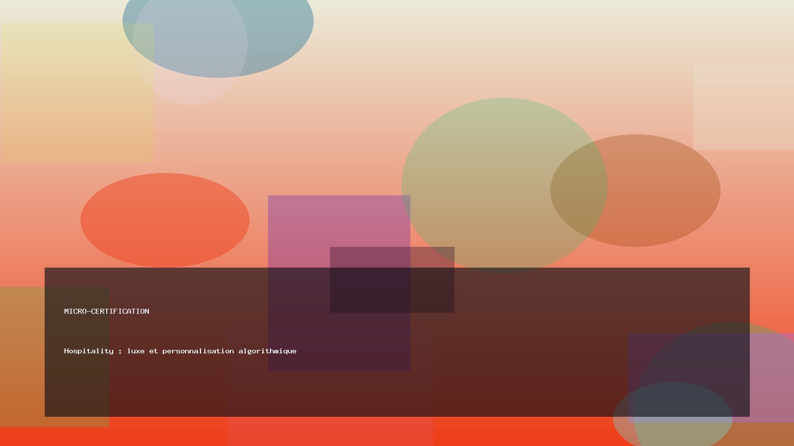 Hospitality : luxe et personnalisation algorithmique