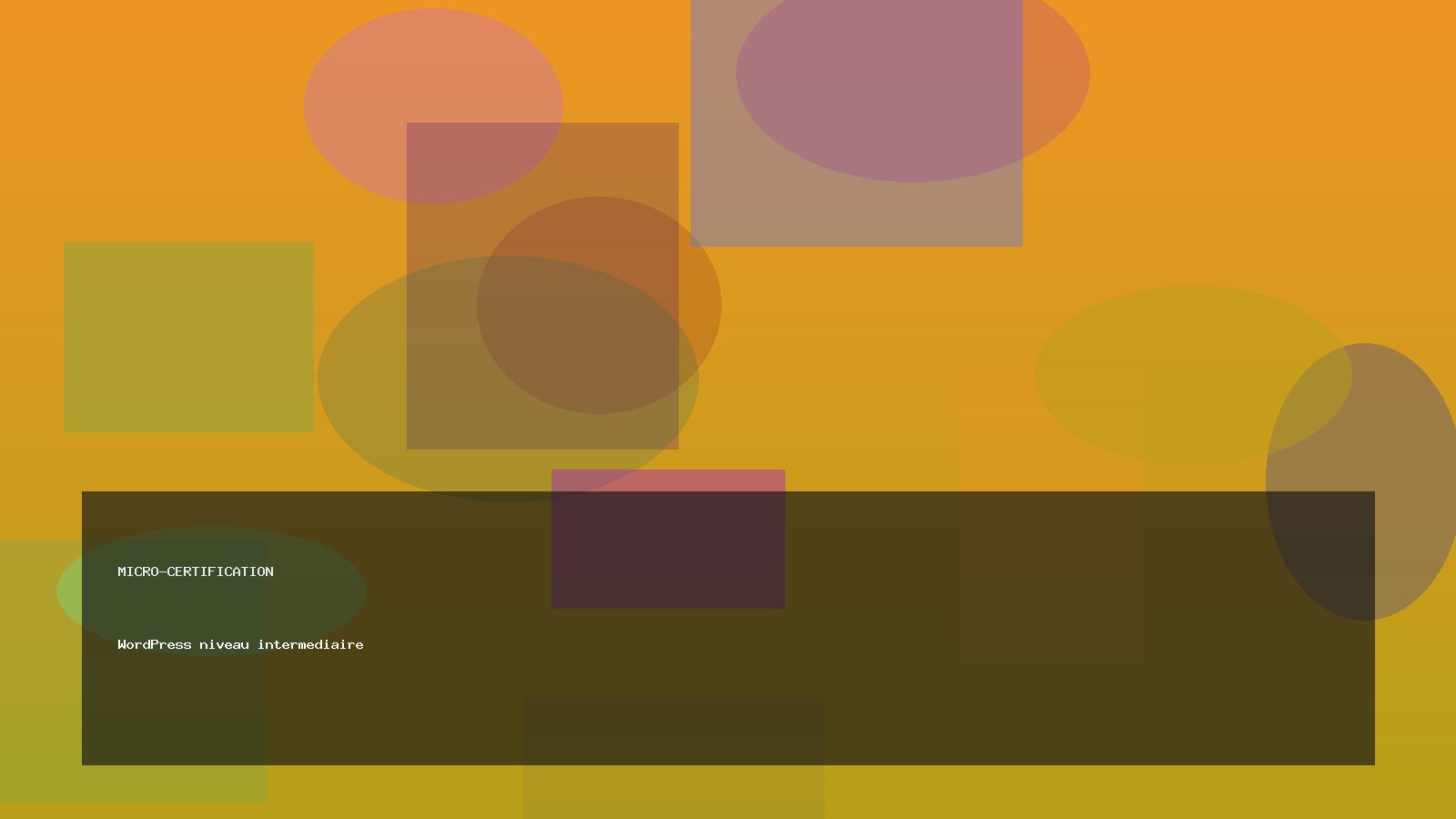 WordPress niveau intermediaire