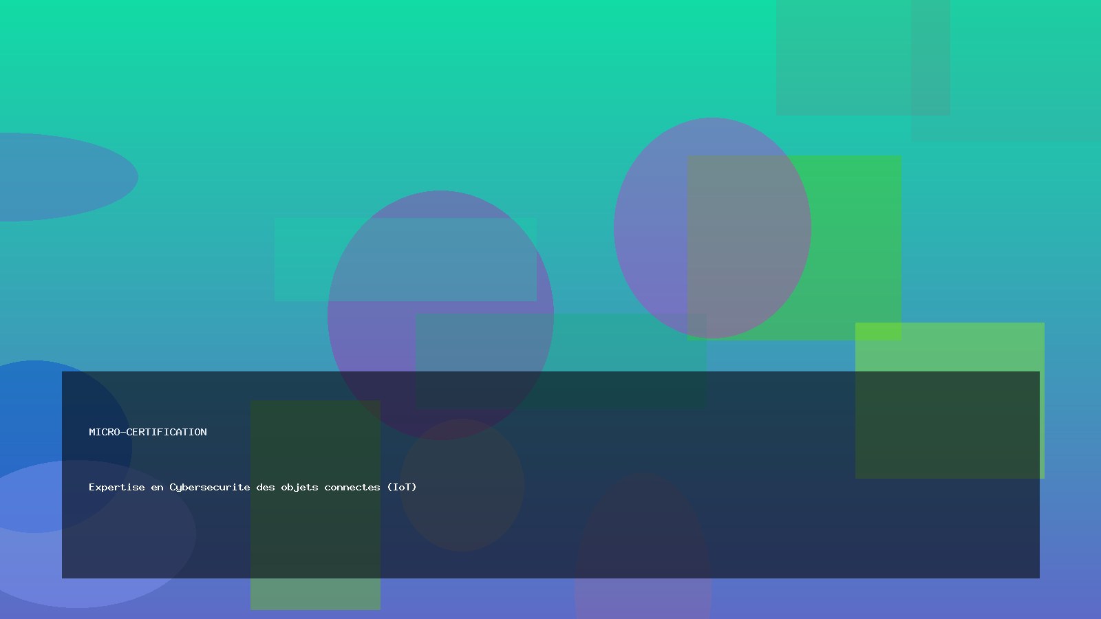 Expertise en Cybersecurite des objets connectes (IoT)