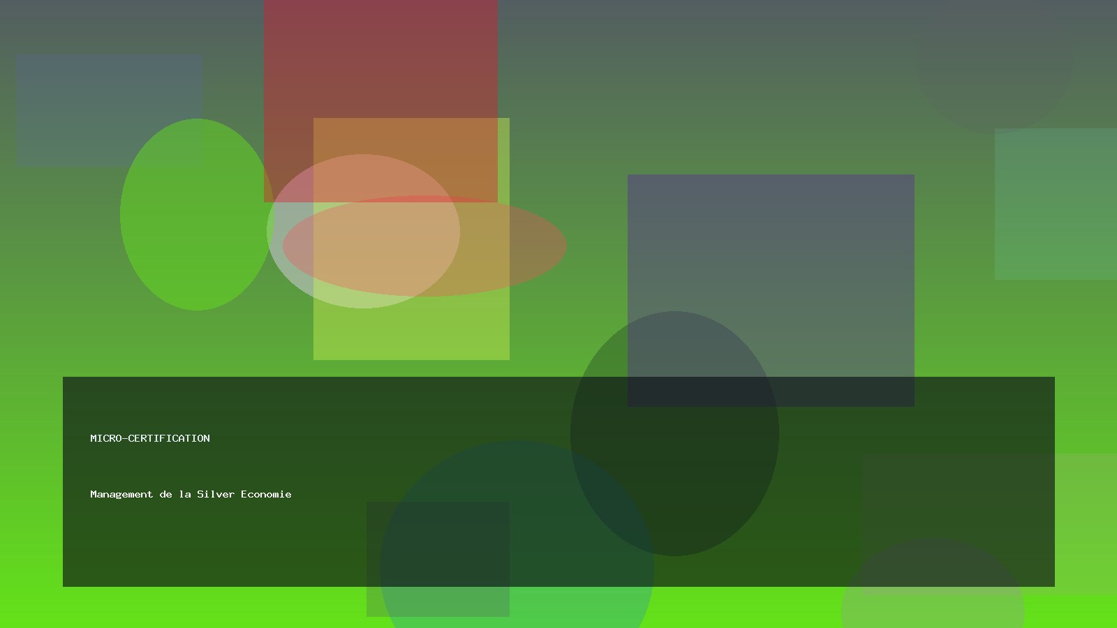 Management de la Silver Economie