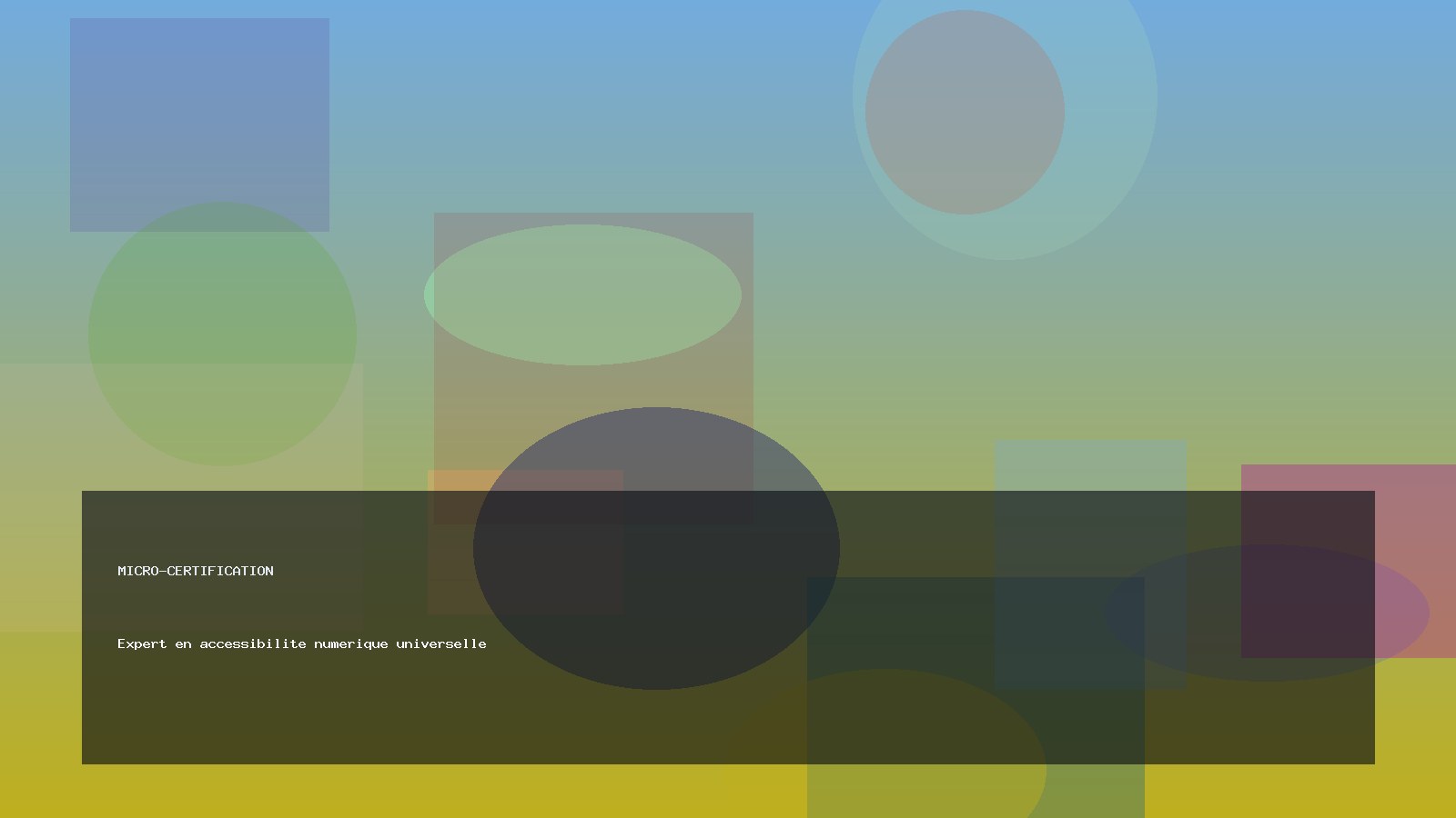 Expert en accessibilite numerique universelle