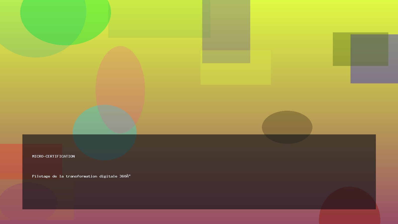 Pilotage de la transformation digitale 360°