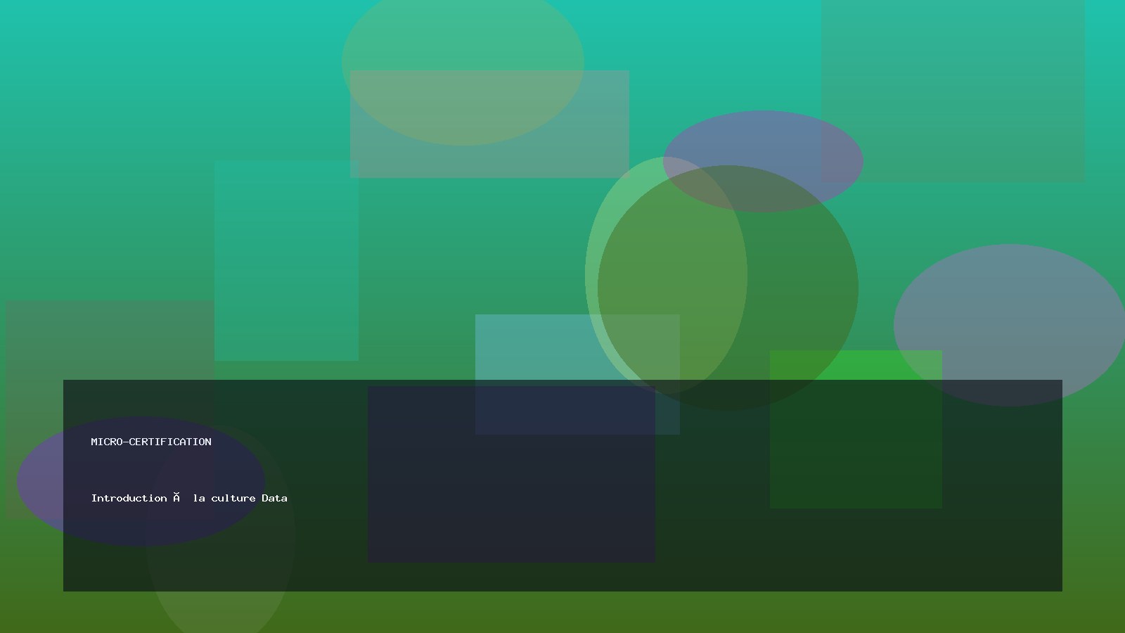 Introduction à la culture Data