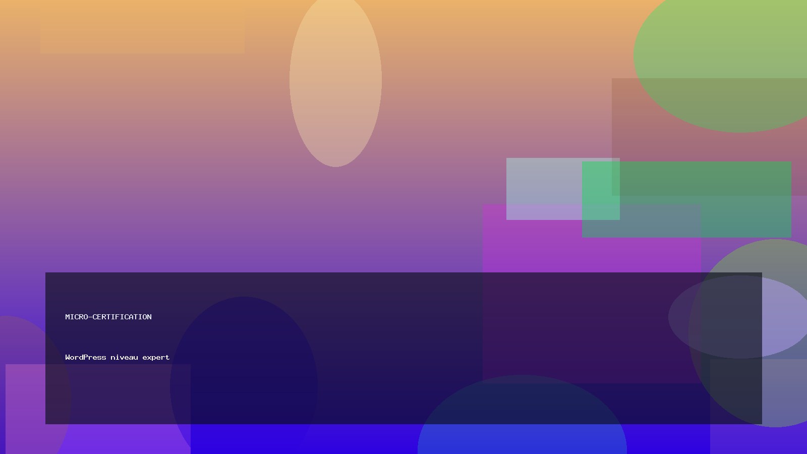 WordPress niveau expert