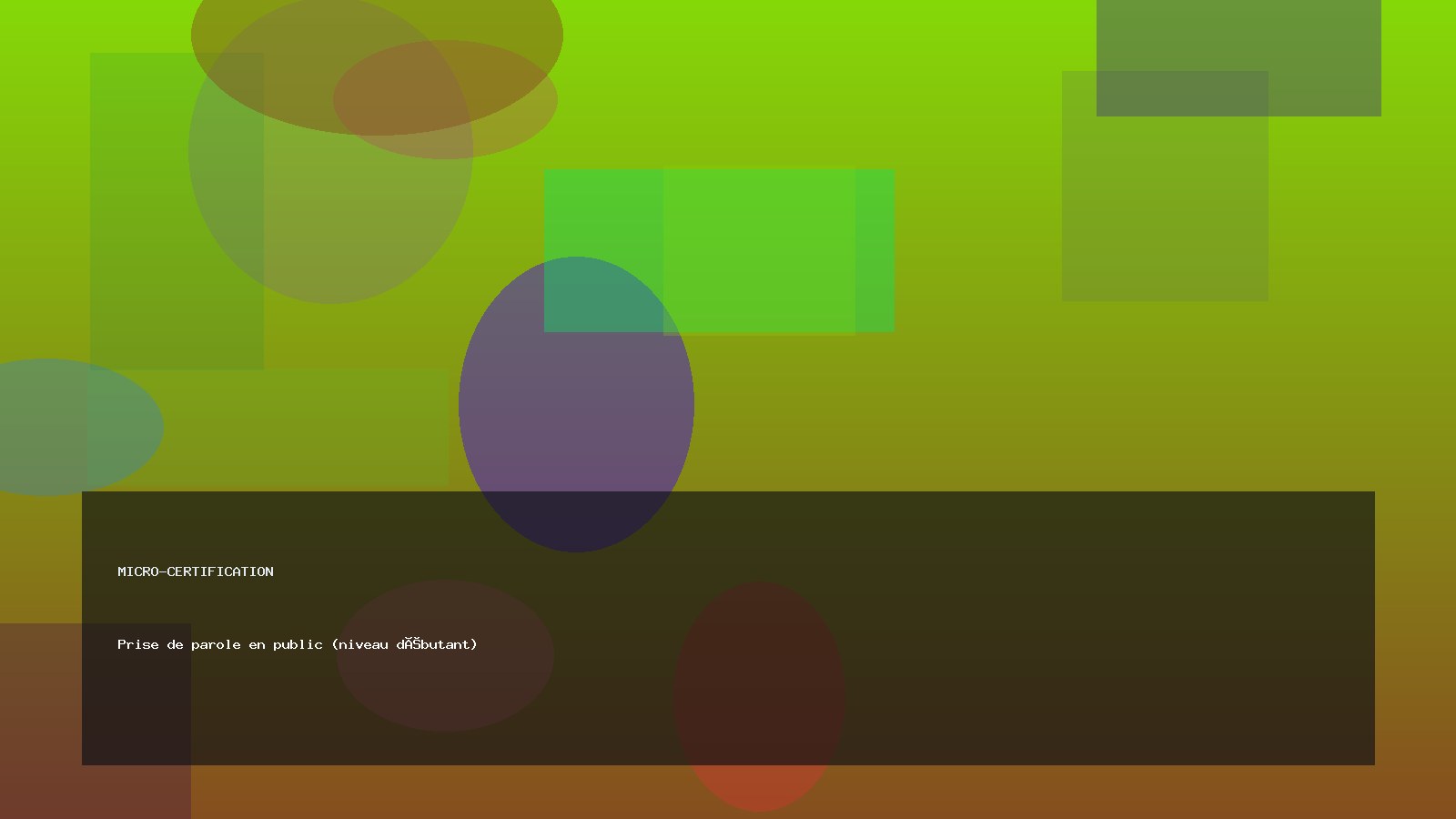 Prise de parole en public (niveau débutant)