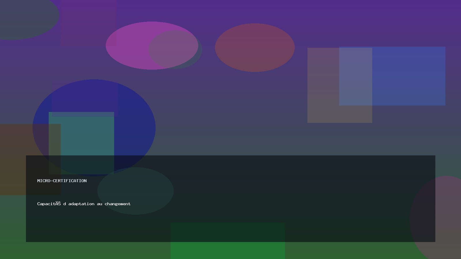 Capacité d adaptation au changement