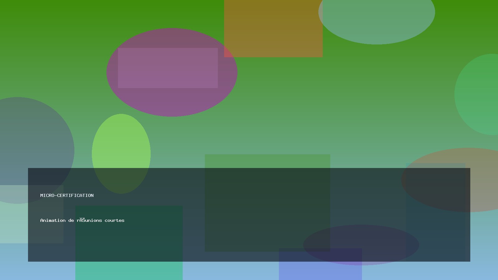 Animation de réunions courtes