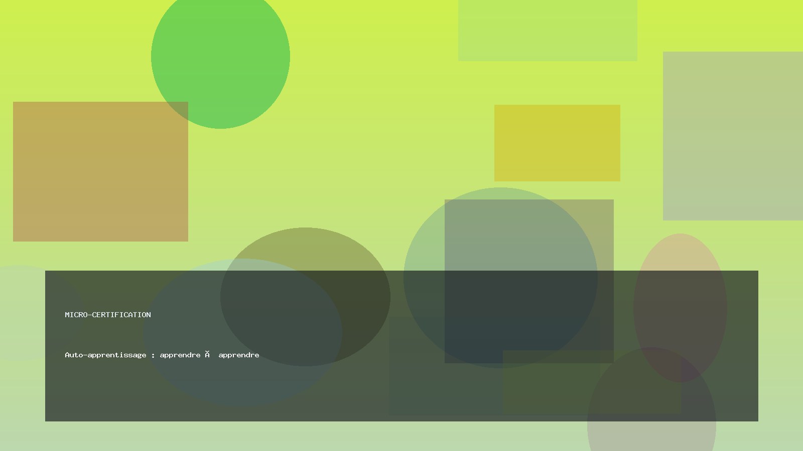 Auto-apprentissage : apprendre à apprendre