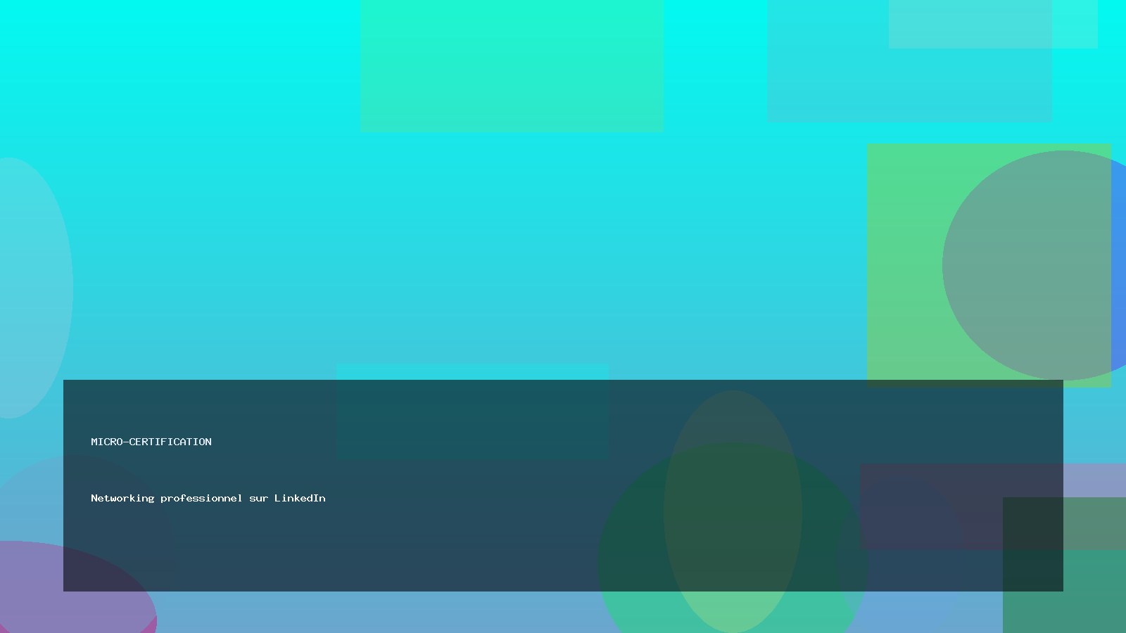 Networking professionnel sur LinkedIn