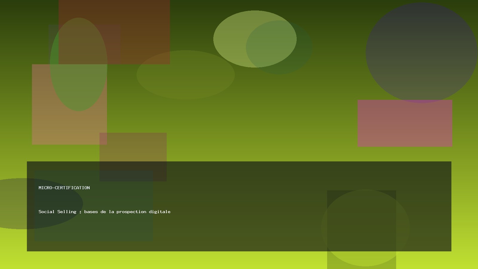 Social Selling : bases de la prospection digitale