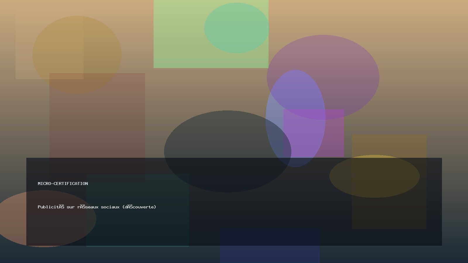 Publicité sur réseaux sociaux (découverte)