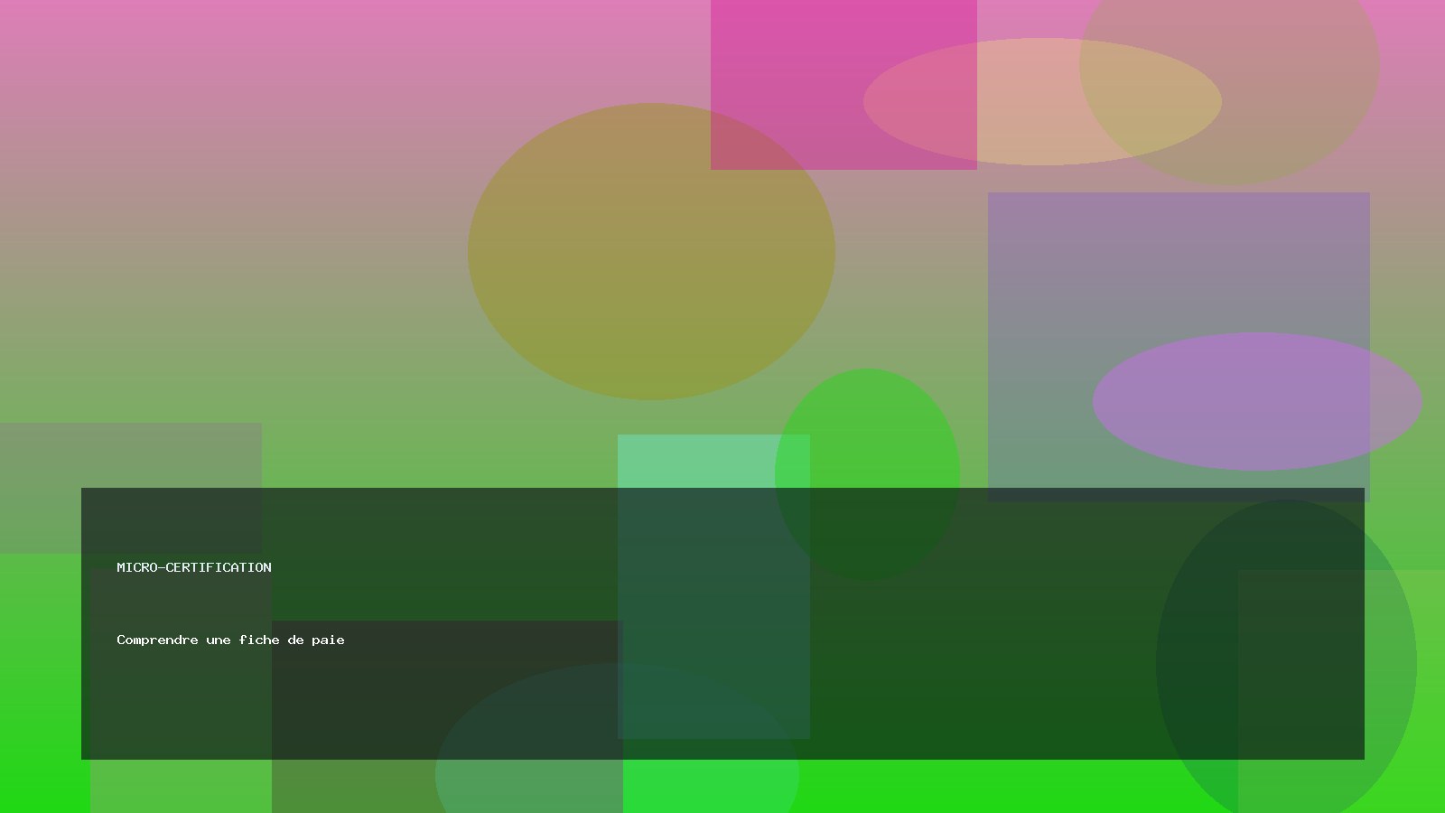 Comprendre une fiche de paie
