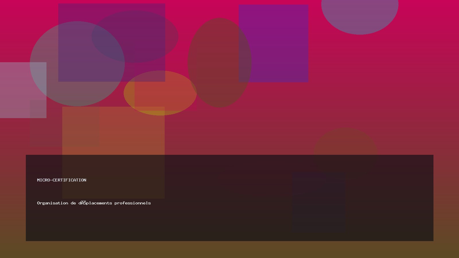 Organisation de déplacements professionnels