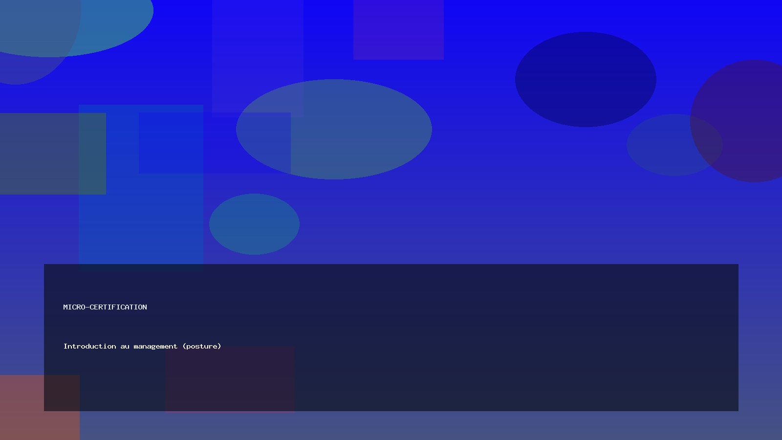 Introduction au management (posture)