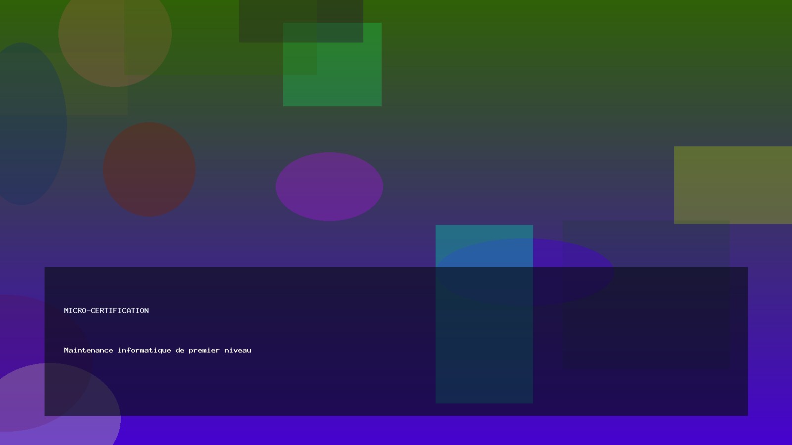 Maintenance informatique de premier niveau