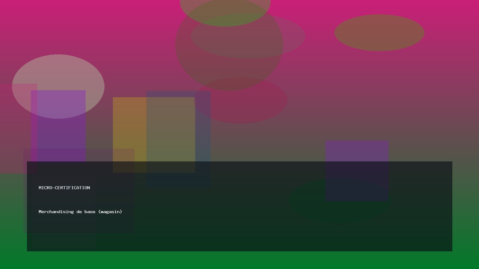 Merchandising de base (magasin)