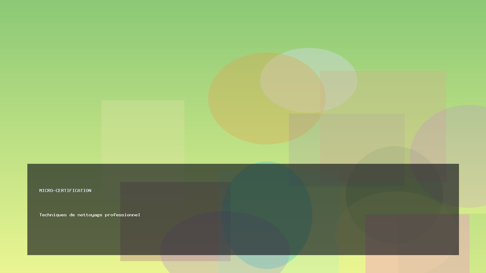 Techniques de nettoyage professionnel