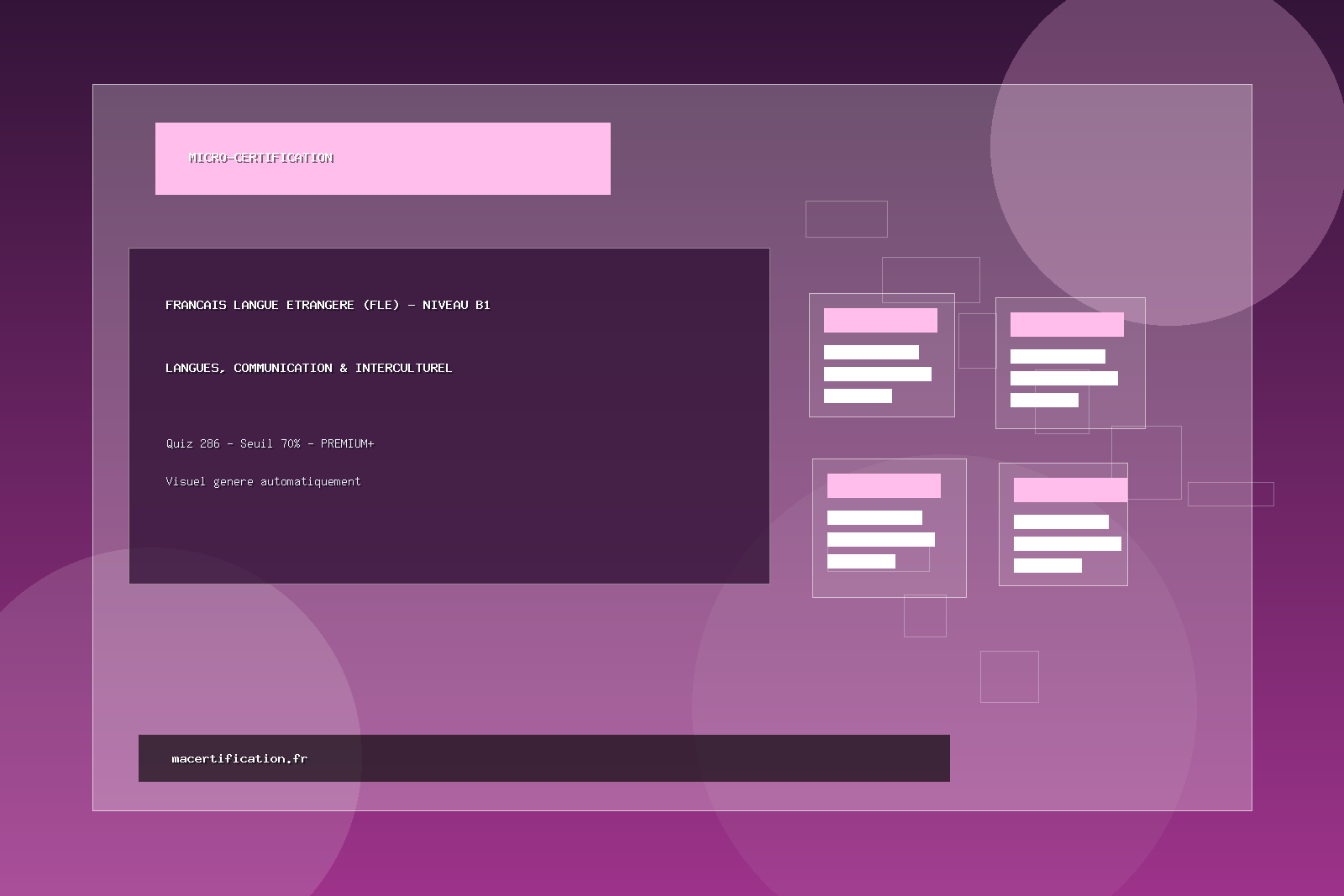 Français Langue Etrangère (FLE) - Niveau B1